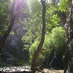 Darwin Falls Fairyland