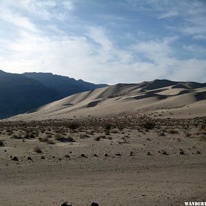 Dunes from the bottom