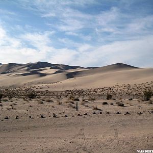 Dunes from the bottom