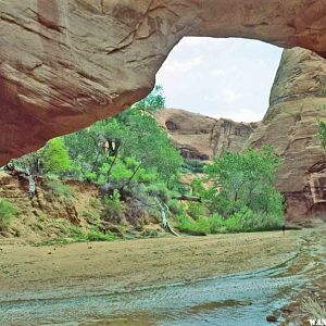 Coyote Natural Bridge