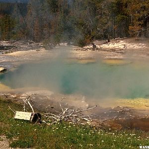 Emerald Spring in Norris Basin