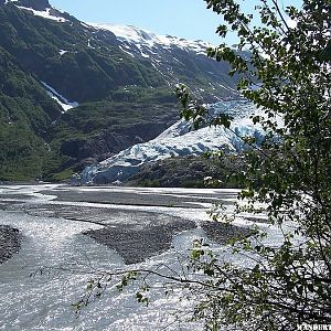 View of Exit Glacier