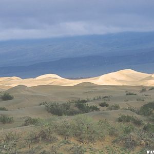 Mesquite Flat Dunes