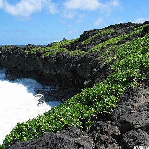 Kipahulu coast