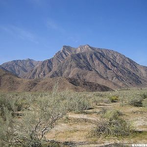 Anza-Borrego Desert