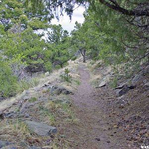 Wellington Ditch Trail Follows an Empty Irrigation Ditch