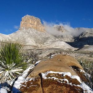 Desert Winter