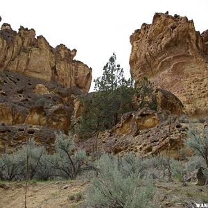 Leslie Gulch  (7).JPG