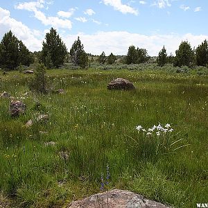 Owyhee Uplands Backcountry Byway