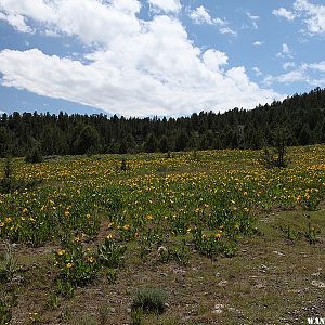 Owyhee Uplands Backcountry Byway