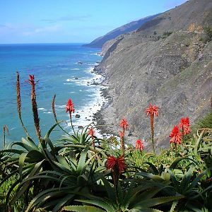 Big Sur Coast