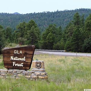 Gila National Forest