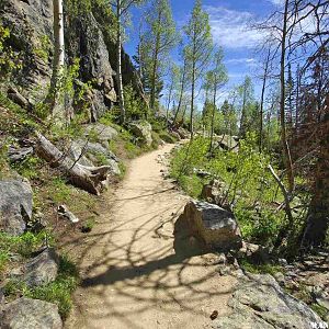 The Trail to Emerald Lake