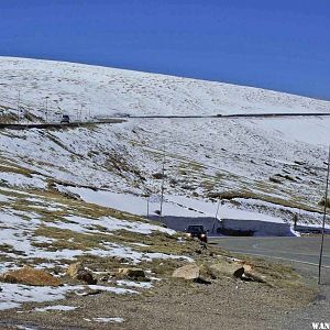 Trail Ridge Road