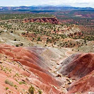 Along the Burr Trail