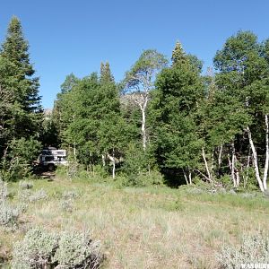 Strawberry Cr Camp -- Great Basin NP