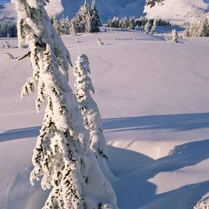 Broken Top in the Oregon Cascades