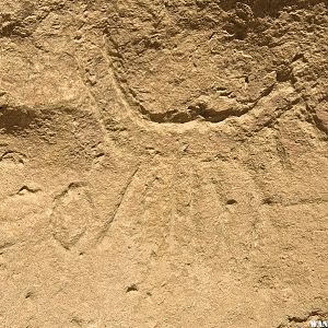 Hickison Petroglyphs