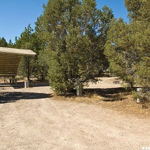 Hickison Petroglyphs Camping