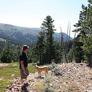 Views on the Highgrade trail