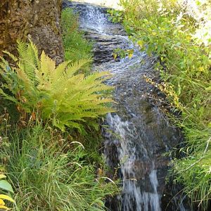 Pike Creek waterfall