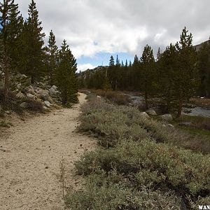 Deadman Creek just up from Big Springs