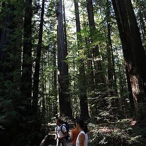 Gould Grove Nature Trail