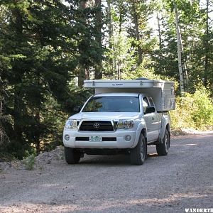 Along the Road in the Gila