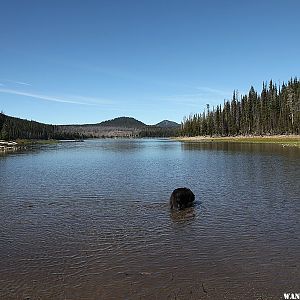 Beach at Little Fawn Campground