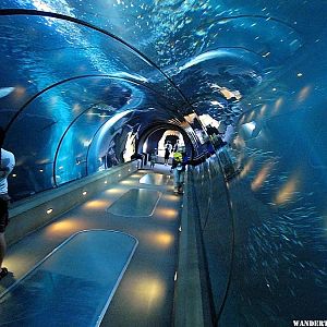 Tunnel inside the Oregon Coast Aquarium