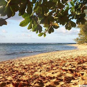 Ke'e Beach at the east end.