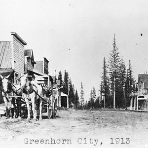 Greenhorn 1913