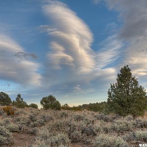 Sierra Wave