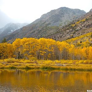 Lundy Canyon