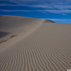 Eureka Valley Dunes