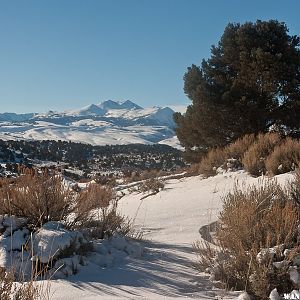 Bridgeport, CA | Wander The West