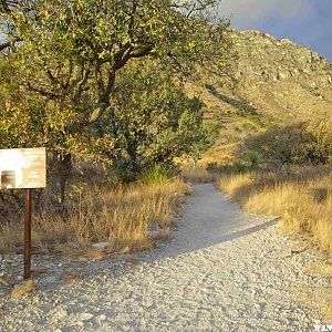 Campground Start of Guadalupe Peak Trail