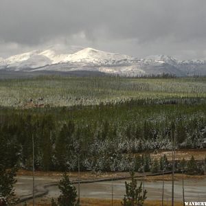 Norris Geyser Basin area