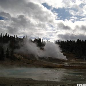 Norris Geyser Basin area