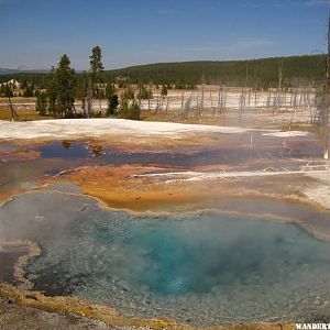 Lower Geyser Basin