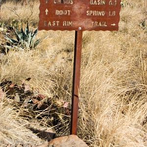 At the South Rim