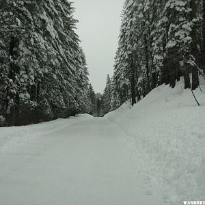 Driving into Yosemite