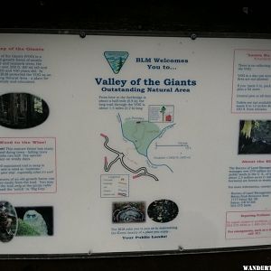 Valley of the Giants