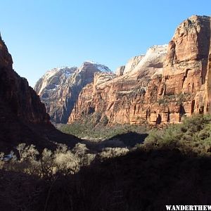 Looking Out from Weeping Rock