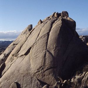 1986_Cyn.Tajo0001.jpg