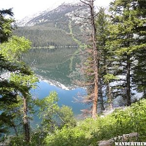 Phelps Lake trail