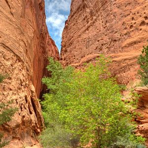 Long Canyon