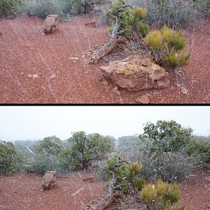 Snowing at Studhorse Peaks Camp