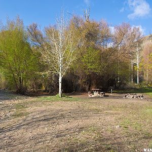 Campsite in Pine Creek Campground