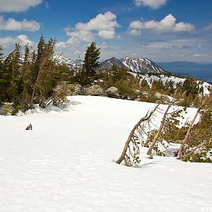 View North Up The Crest